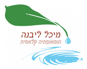 הומאופתיה אצל מיכל ליבנה. הומאופתית מוסמכת 